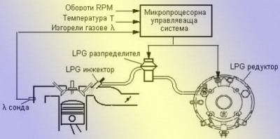 agu3.jpg
