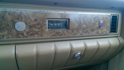 IMAG0596.jpg