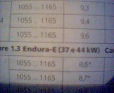 endura 1,3.jpg