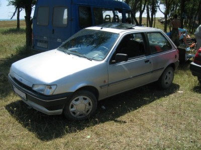 Fiesta2-600.jpg