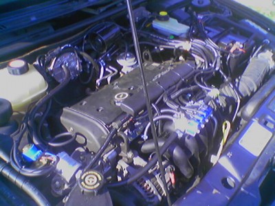 070616_093653.jpg (62.09 KБ) Видяна 5185 пъти 070616_093653.jpg