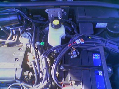 070616_093629.jpg (53.46 KБ) Видяна 5139 пъти 070616_093629.jpg