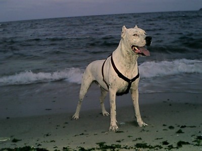 index.php.jpg (73.83 KБ) Видяна 6595 пъти index.php.jpg