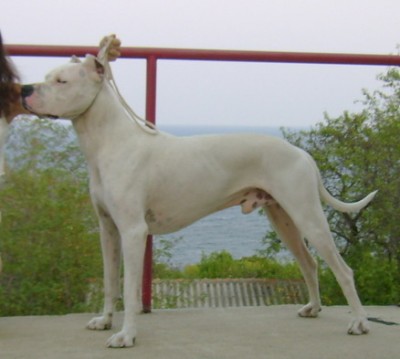 index.php.jpg (60.76 KБ) Видяна 6587 пъти index.php.jpg