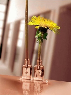 1136870274_connectors_sc_.jpg (36.16 KБ) Видяна 13526 пъти 1136870274_connectors_sc_.jpg